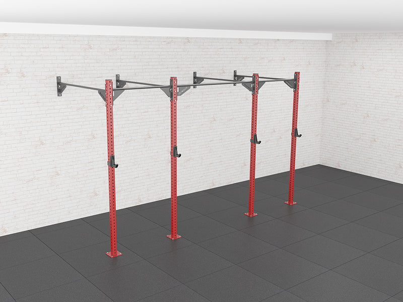 Ironwod X1 Wall Mounted Rig